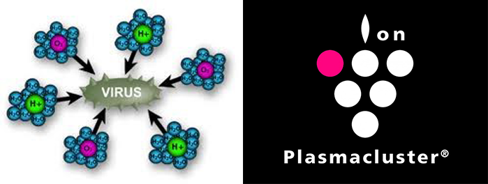 Technologia Plasmacluster w walce z koronawirusem.